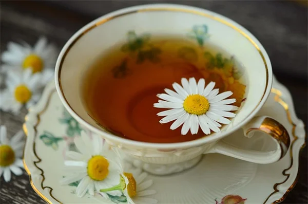 紫藤の七月剪定：来年の花数を4倍にする正しい方法とよくある誤解