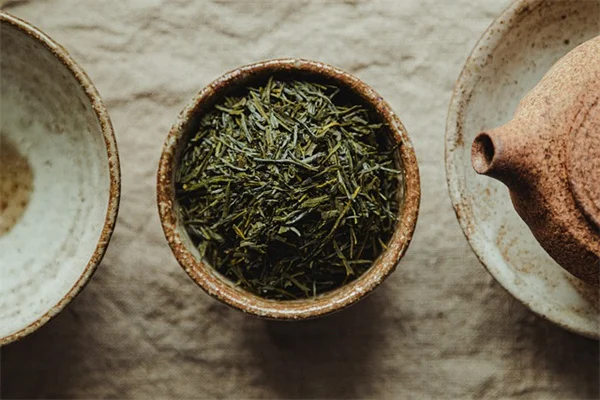 私のおすすめ多年生ツル植物6選｜小さい庭に立体感と花を簡単追加