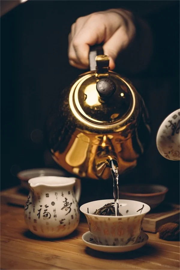 水耕栽培でレタスを育てるコツと注意点｜初心者向け完全ガイド
