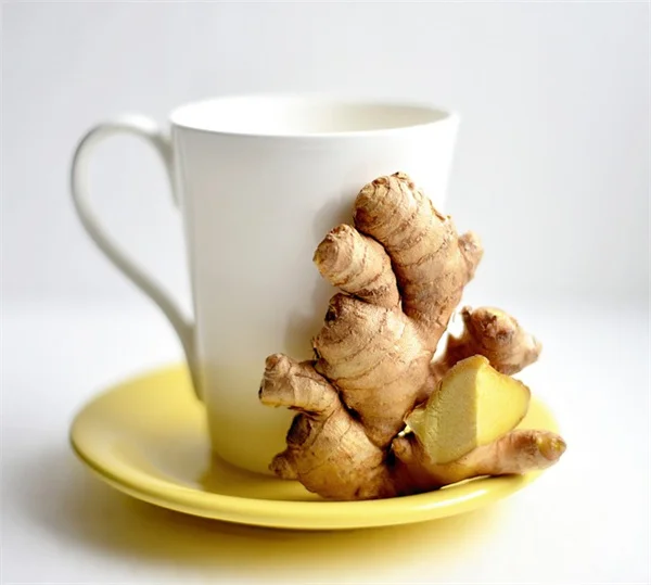 菜園から食卓を始める前に知っておきたい成功のコツ
