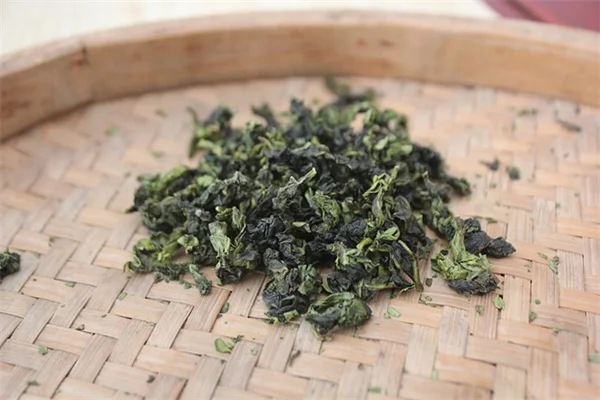 燕尾蝶を呼ぶには寄主植物が必須！私が失敗から学んだ3つのポイント