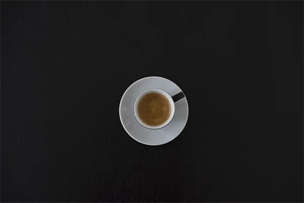 園芸に失敗はない！実験で成功する5つのコツと実践ステップ